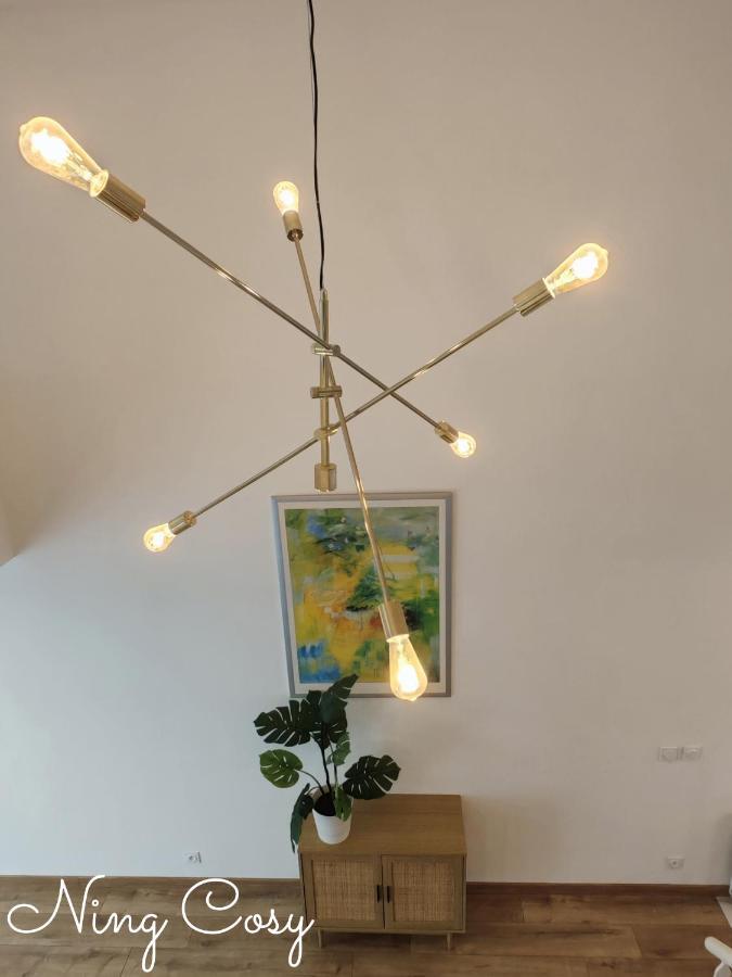 Superbe Cosy Duplex Appartement T3 Charpenne Tete D'Or Avec Parking Prive Gratuit Вийёрбан Экстерьер фото