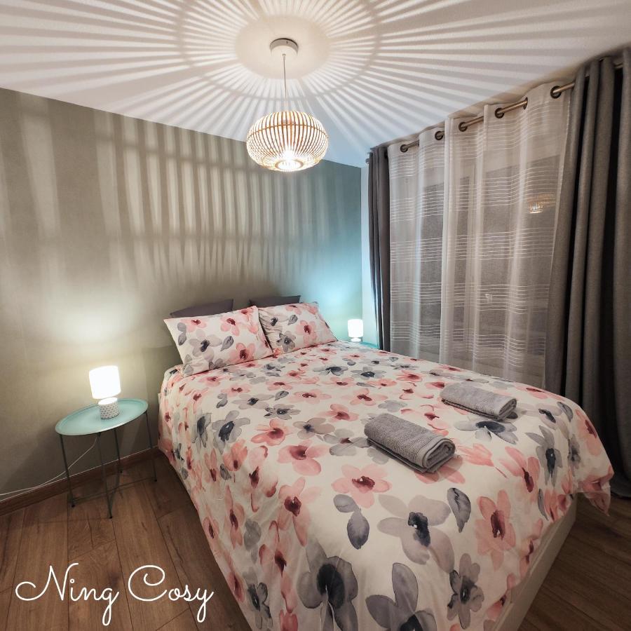 Superbe Cosy Duplex Appartement T3 Charpenne Tete D'Or Avec Parking Prive Gratuit Вийёрбан Экстерьер фото
