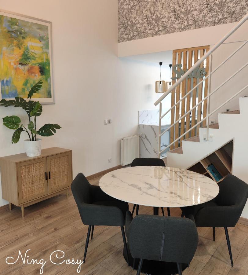Superbe Cosy Duplex Appartement T3 Charpenne Tete D'Or Avec Parking Prive Gratuit Вийёрбан Экстерьер фото