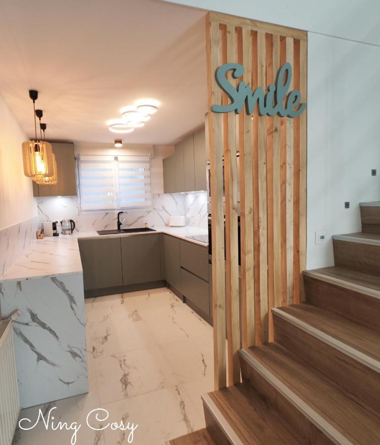 Superbe Cosy Duplex Appartement T3 Charpenne Tete D'Or Avec Parking Prive Gratuit Вийёрбан Экстерьер фото