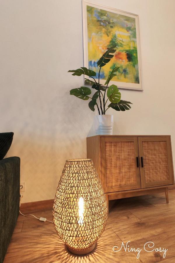 Superbe Cosy Duplex Appartement T3 Charpenne Tete D'Or Avec Parking Prive Gratuit Вийёрбан Экстерьер фото