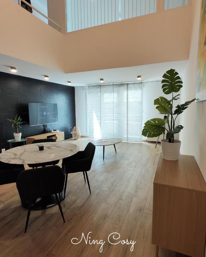 Superbe Cosy Duplex Appartement T3 Charpenne Tete D'Or Avec Parking Prive Gratuit Вийёрбан Экстерьер фото