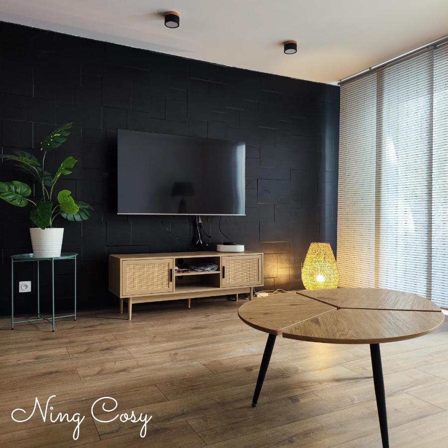 Superbe Cosy Duplex Appartement T3 Charpenne Tete D'Or Avec Parking Prive Gratuit Вийёрбан Экстерьер фото